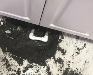 临清查漏水哪家好